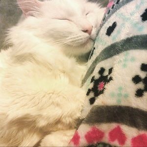 Meet your Posher, Tiffany